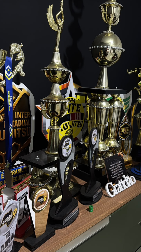 Troféus e conquistas de campeonatos do Projeto Fênix